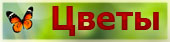 Цветы